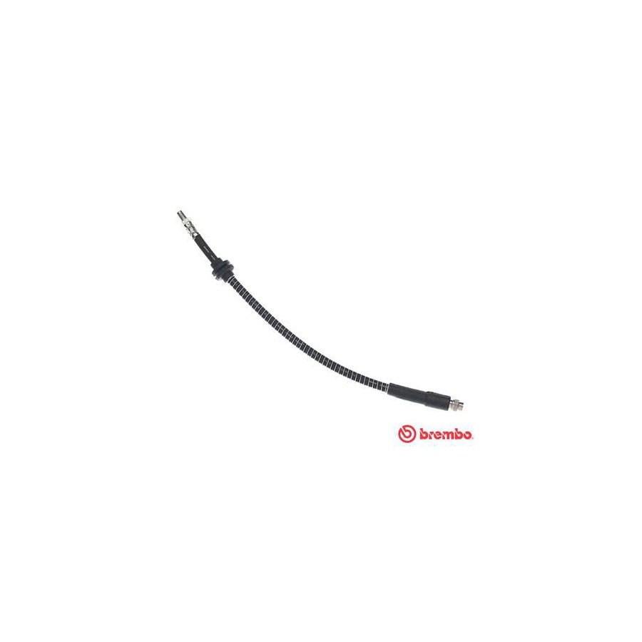 BREMBO T 23 198 Brake Hose 450Mm F10X1 