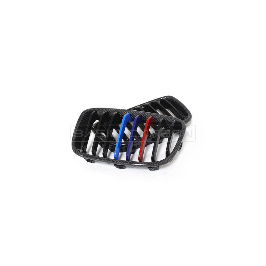 Basic Carbon BMW 1 Series F20 F21 Pre-LCI Carbon Fibre Kidney Grille (inc. 114d, 118i, 125i & M135i)