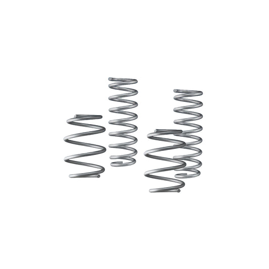 AC Schnitzer BMW F90 M5 Suspension Spring Set