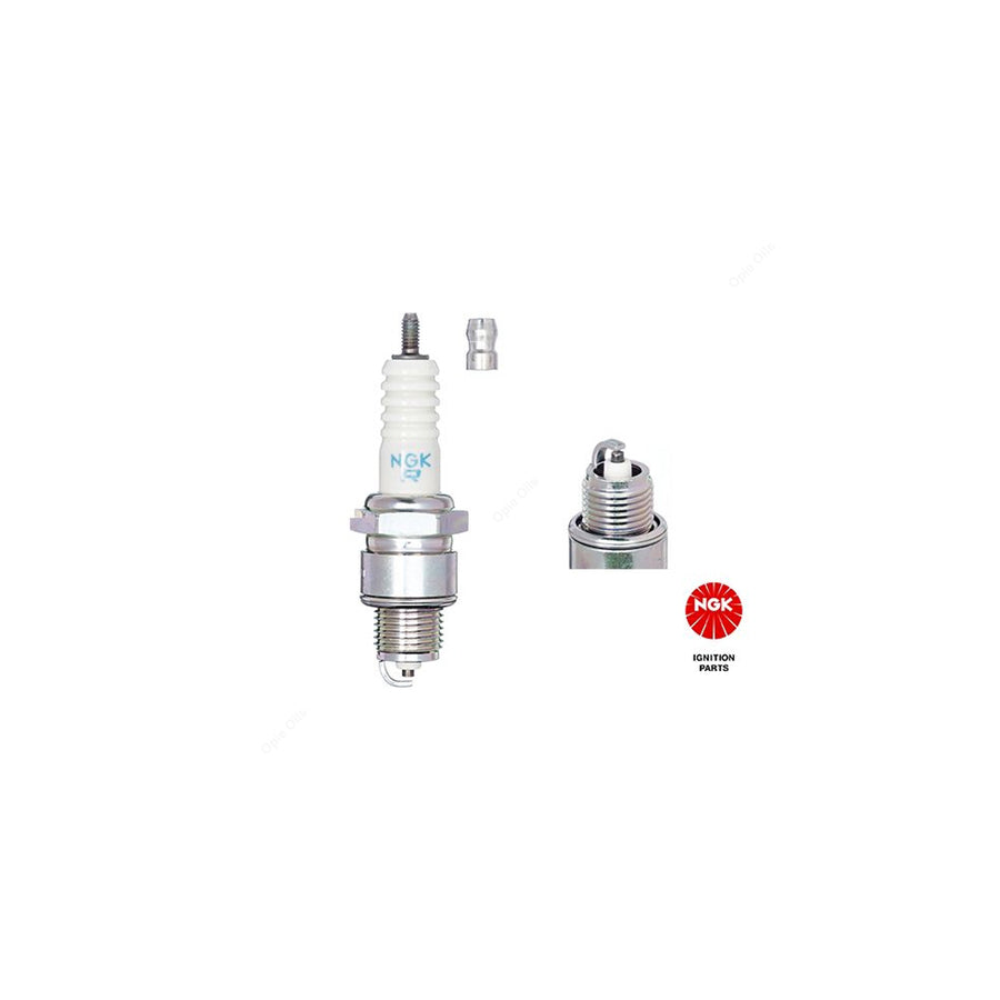 NGK BPR6HS (7022) - Standard Spark Plug / Sparkplug - Projected Centre Electrode