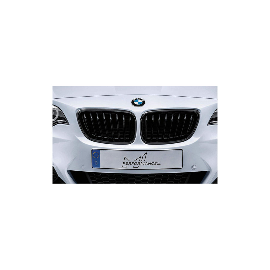 Genuine BMW Performance F22 F23 Black Kidney Grille (218i, 218d, 220i, 220d, 225d, 228i, 230i, M235i & M240i)