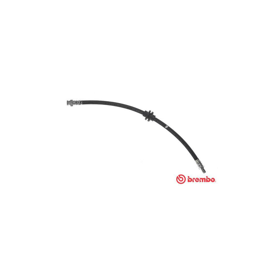 BREMBO T 23 176 Brake Hose 423Mm M10X1 