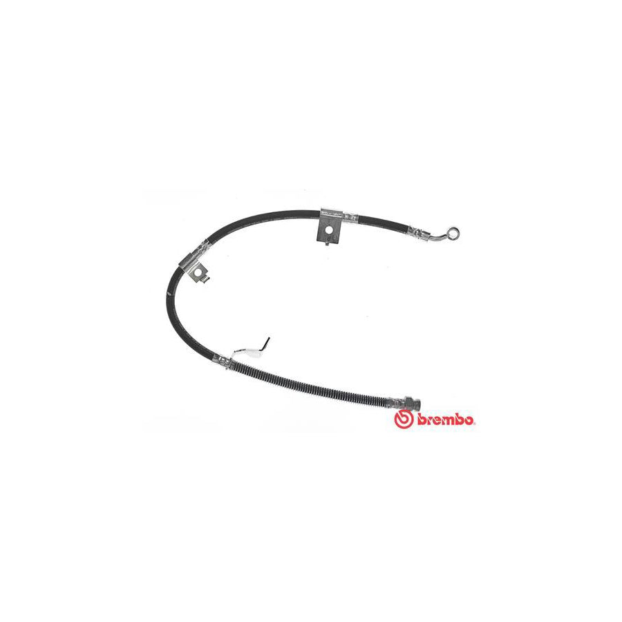 BREMBO T 30 084 Brake Hose 715Mm F10X1 