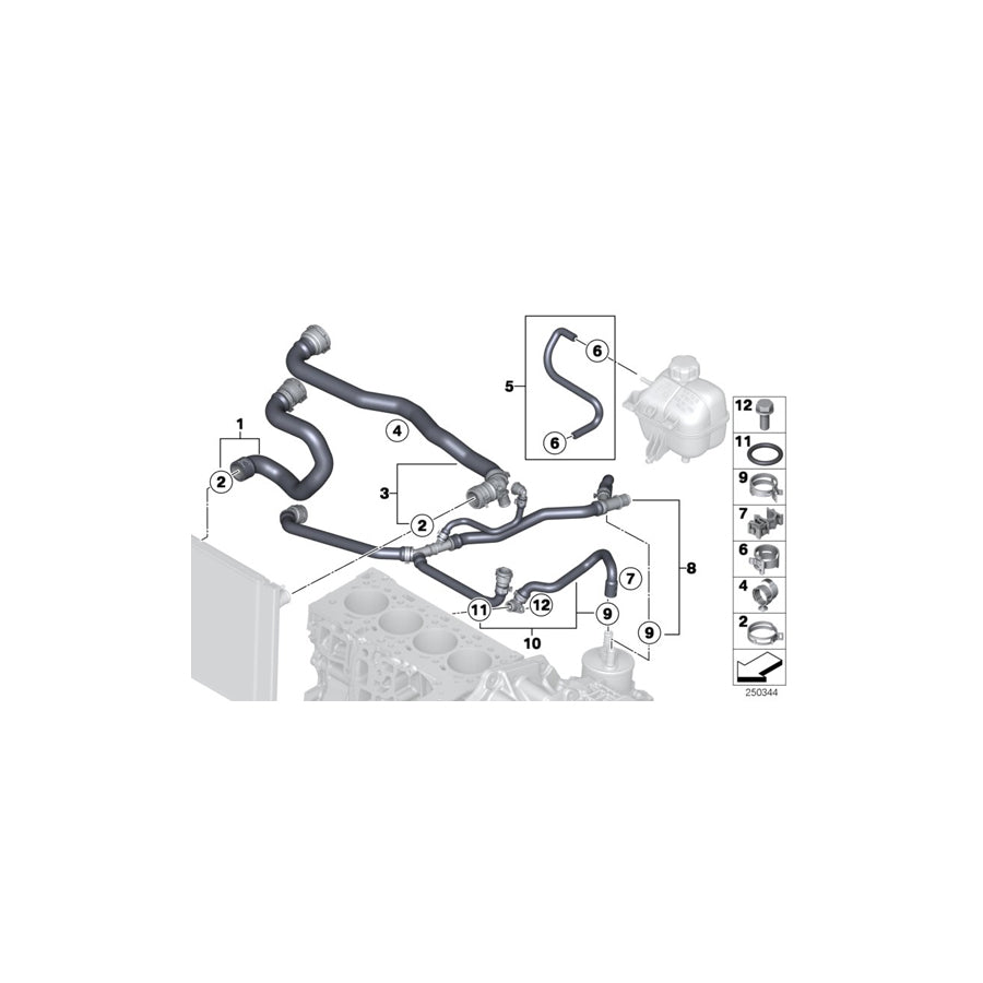 Genuine BMW 11537811785 Coolant Hose (Inc. One D, Cooper SD ALL4 & Cooper D ALL4 2.0) | Duco Car Parts UK Car Parts