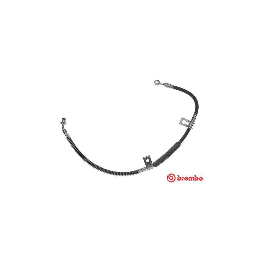 BREMBO T 30 099 Brake Hose for KIA MAGENTIS 705Mm F10X1 