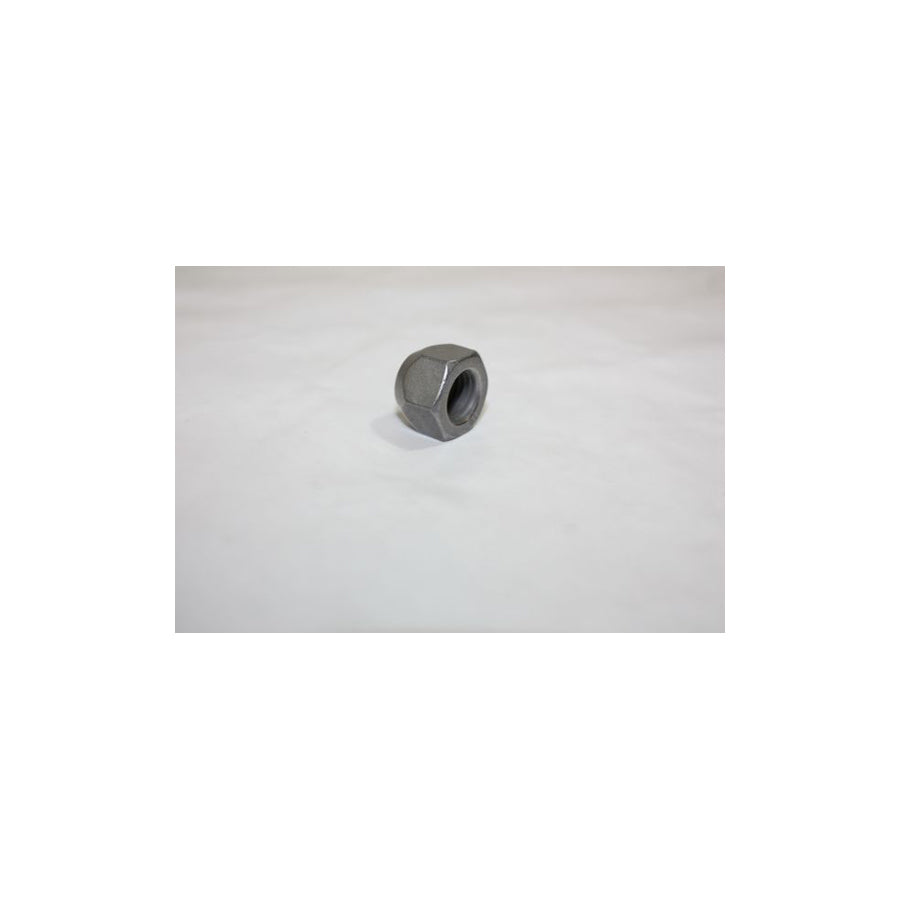 AUTOMEGA 110001810 Wheel Nut for FORD C-Max II (DXA/CB7, DXA/CEU)