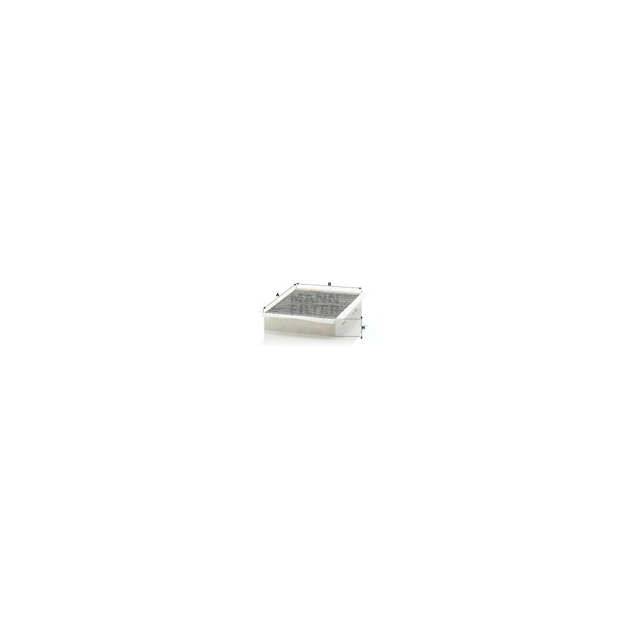 MANN-FILTER C 17 278/1 Air Filter Filter Insert
