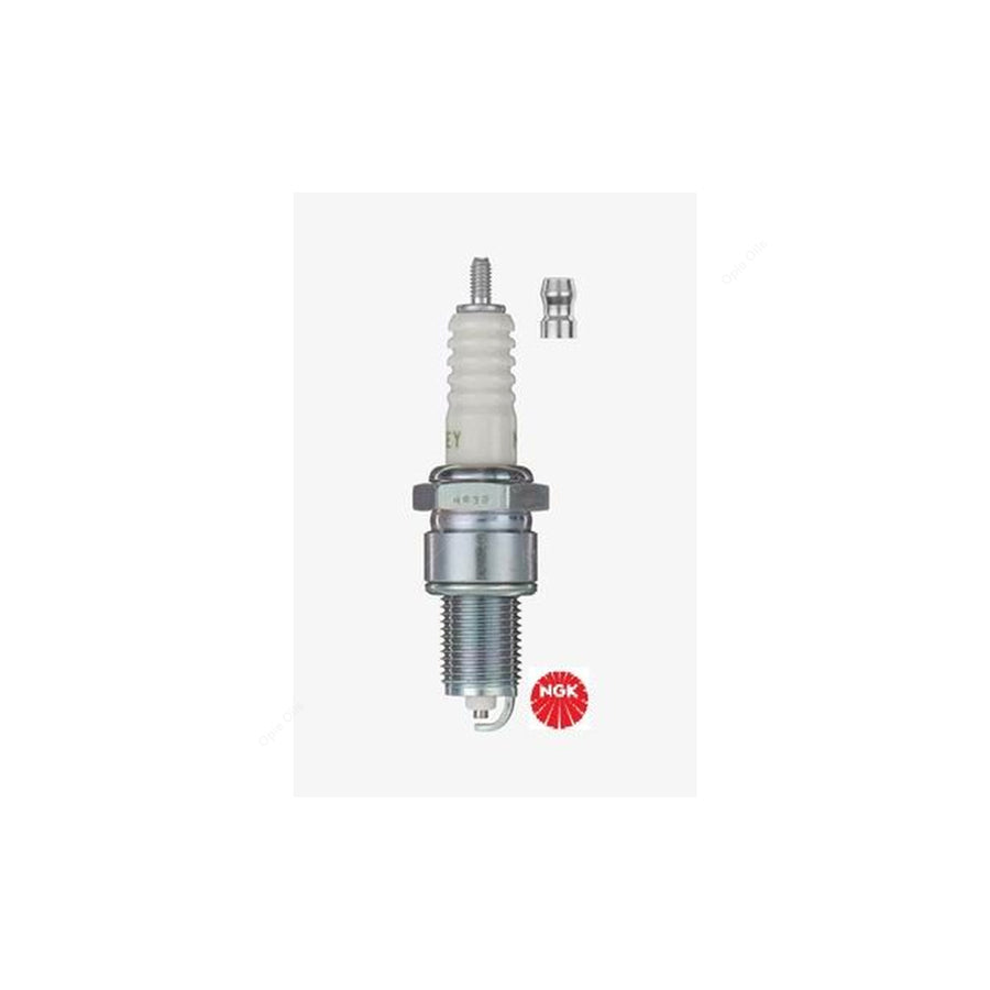 NGK BP6EY (7727) - Standard Spark Plug / Sparkplug - Projected Centre Electrode