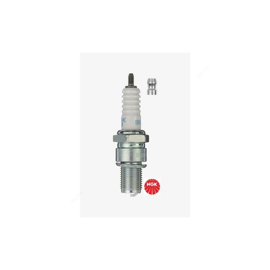 NGK BR10ECS (5880) - Standard Spark Plug / Sparkplug