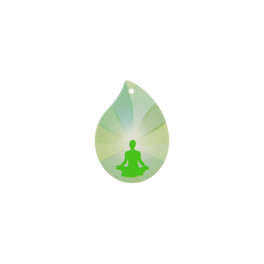 AIR SPA Citron, Eucalyptus, Menthol, Pure 190450 Car air freshener Blister Pack