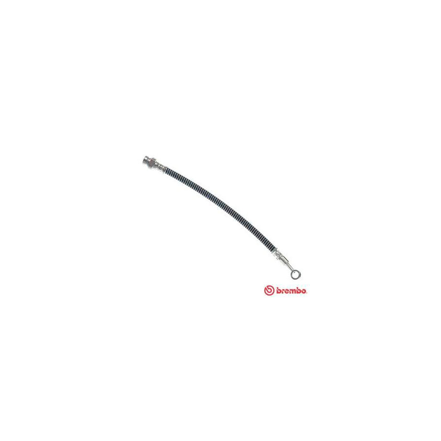 BREMBO T 30 106 Brake Hose 299Mm F10X1 