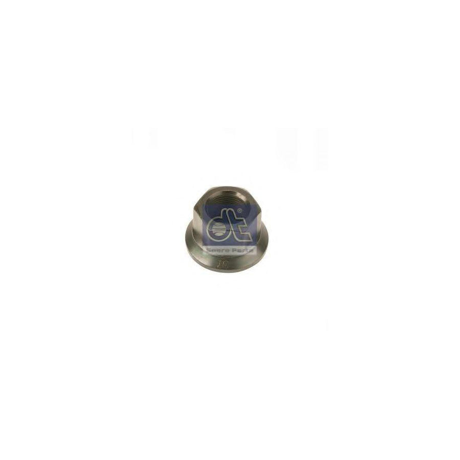 DT Spare Parts 5.10160 Wheel Nut