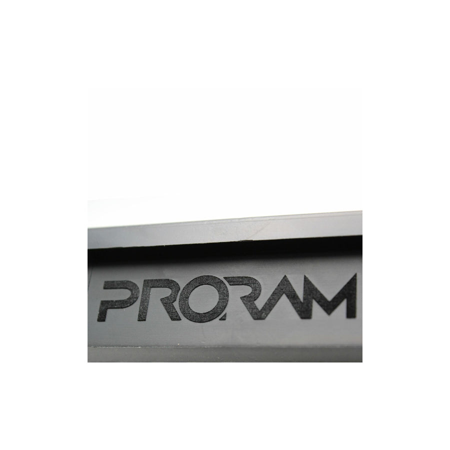 Ramair BMW F20 F22 F30 F32 PRORAM Replacement Pleated Air Filter (Inc. M140i, M240i, 330e & 440i)