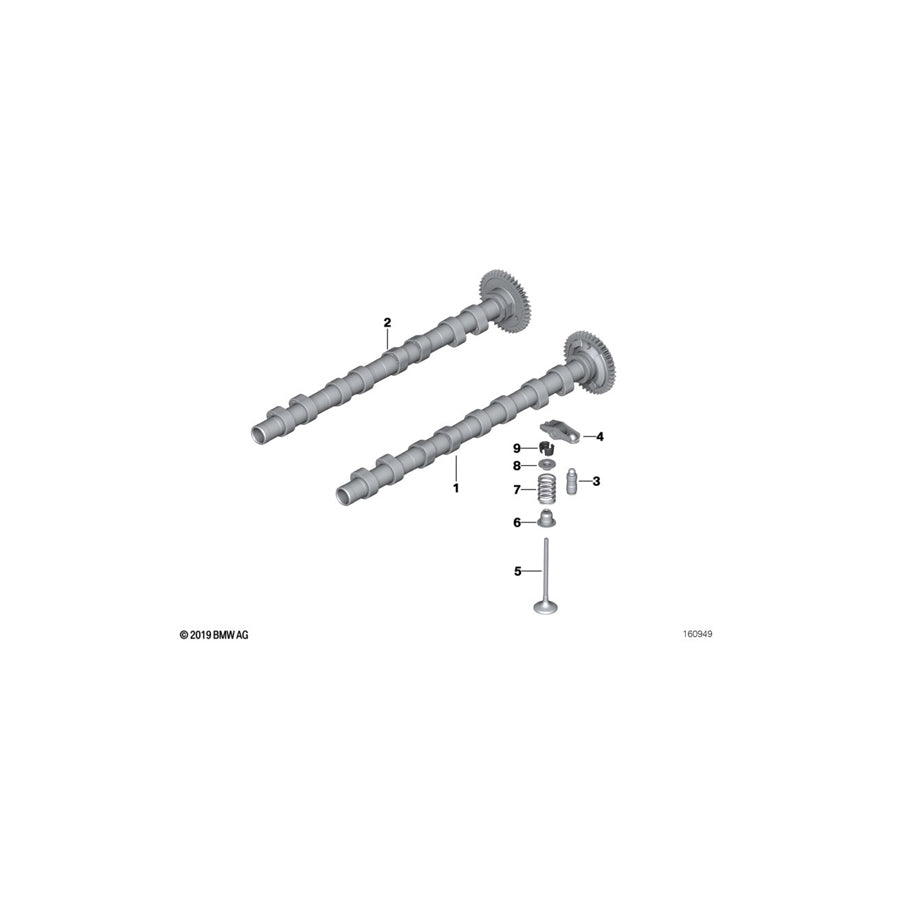 Genuine BMW 11347805366 F34 R56 E88 Valve Spring (Inc. 328d, X5 30dX & 420dX) | Duco Car Parts UK Car Parts