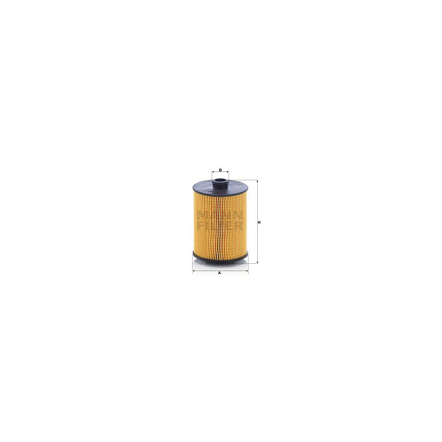MANN-FILTER HU 8009 z Oil Filter with seal, Filter Insert