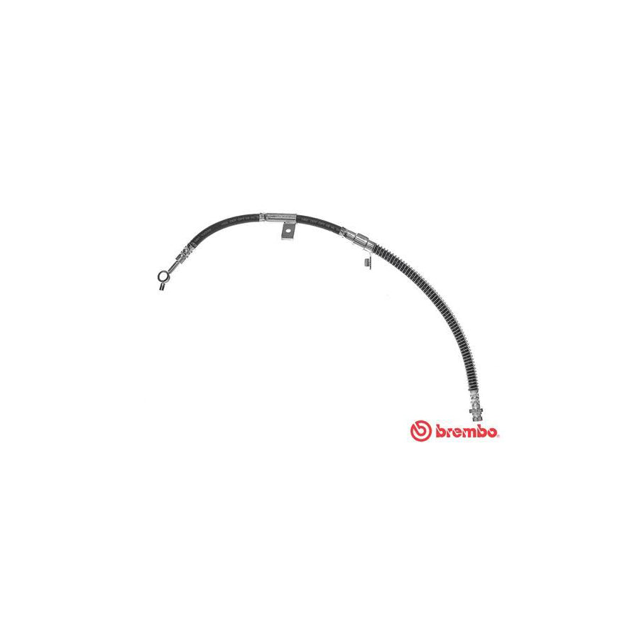 BREMBO T 30 100 Brake Hose for KIA MAGENTIS 545Mm F10X1 