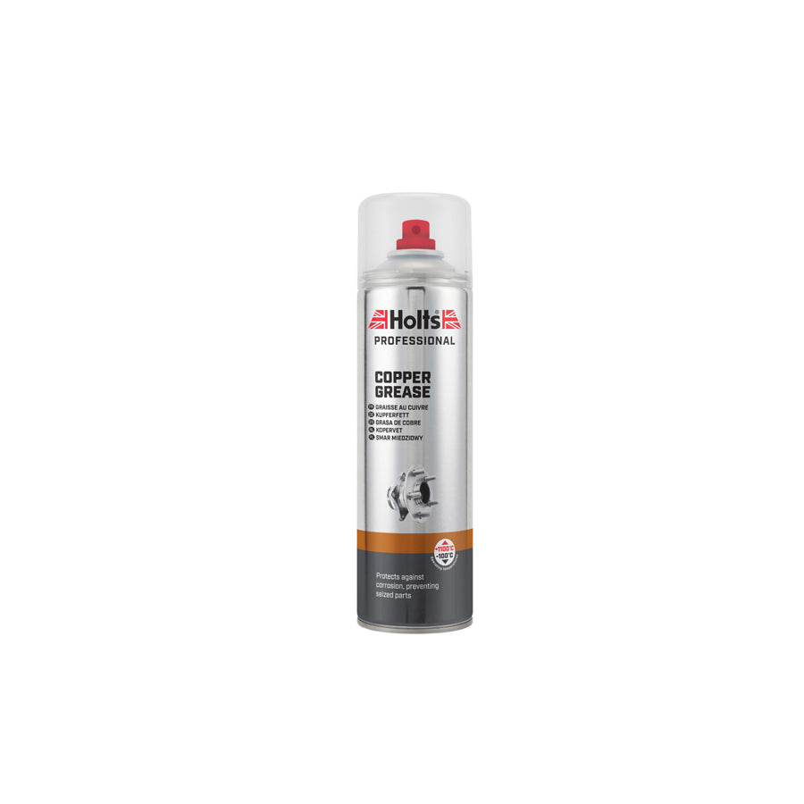 Holts 500ml Spray Grease