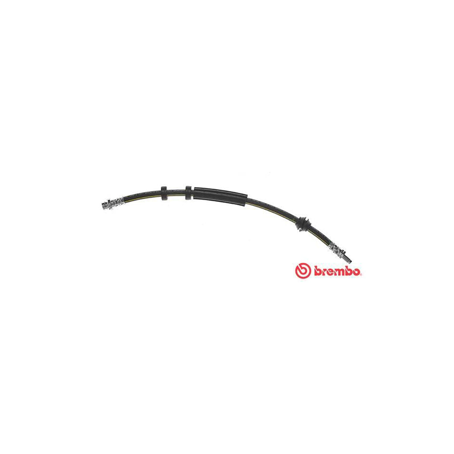 BREMBO T 24 125 Brake Hose 420Mm F10X1 