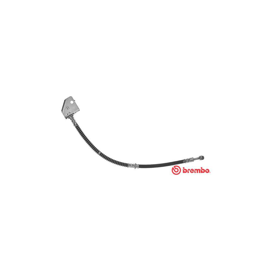BREMBO T 24 121 Brake Hose 440Mm M10X1 