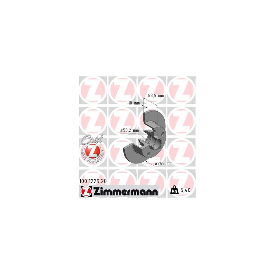 ZIMmERMANN COAT Z 100 1229 20 Brake Disc for AUDI A4 Solid Coated