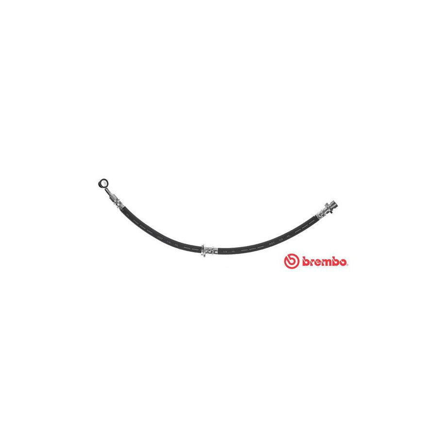BREMBO T 28 094 Brake Hose for HONDA ACCORD 425Mm F10X1 