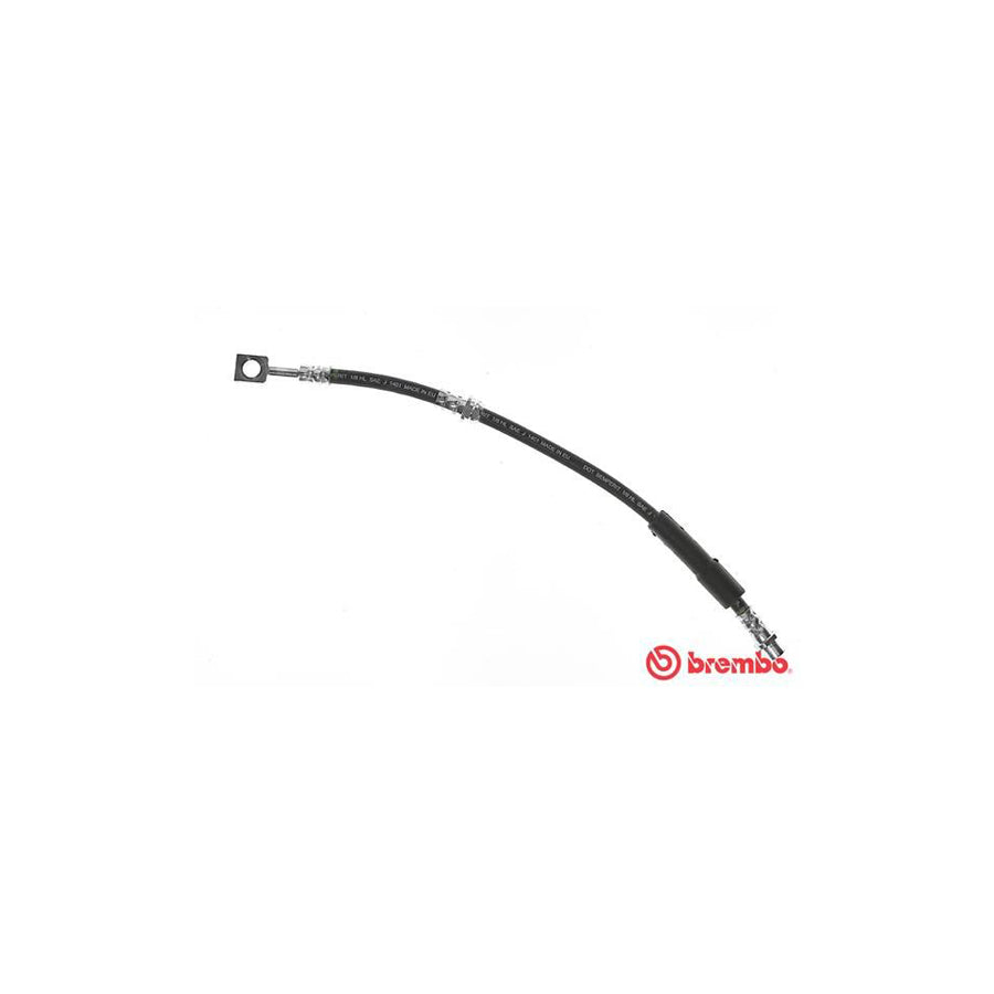 BREMBO T 59 080 Brake Hose 430Mm F10X1 