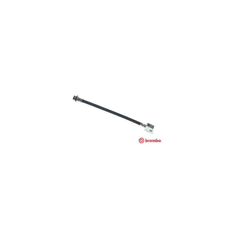 BREMBO T 56 032 Brake Hose 300Mm F10X1 
