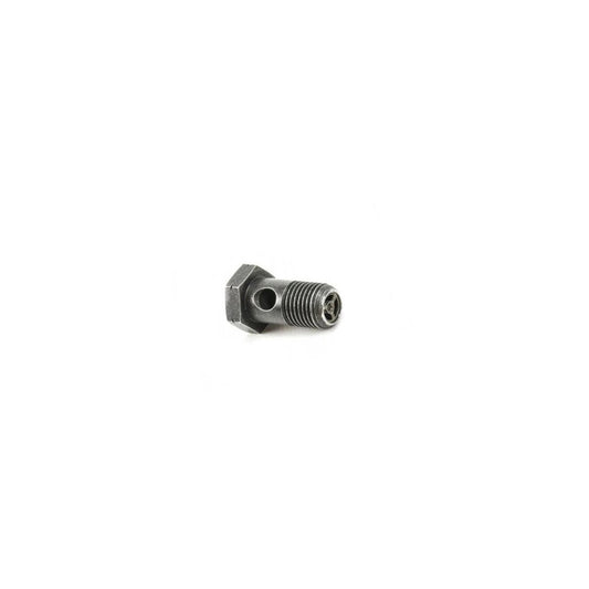 Genuine BMW E70 E82 E86 E90 Banjo Bolt With Check Valve (Inc. 130i, 335i, 550i & Z4 M3.2)