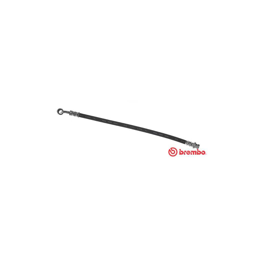 BREMBO T 24 124 Brake Hose 365Mm F10X1 