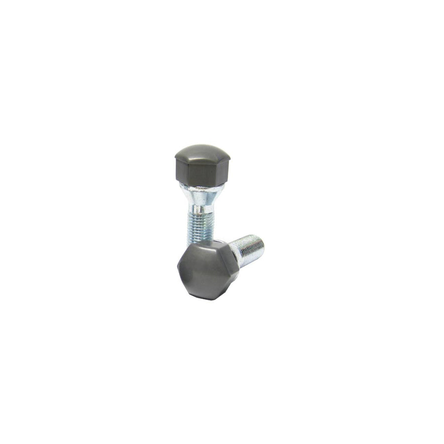 Eibach S17-B SW17 Wheel Bolts Cap