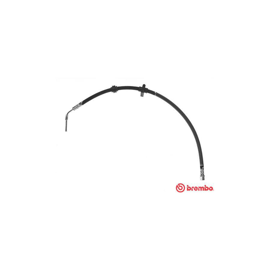 BREMBO T 61 060 Brake Hose 685Mm F10X1 