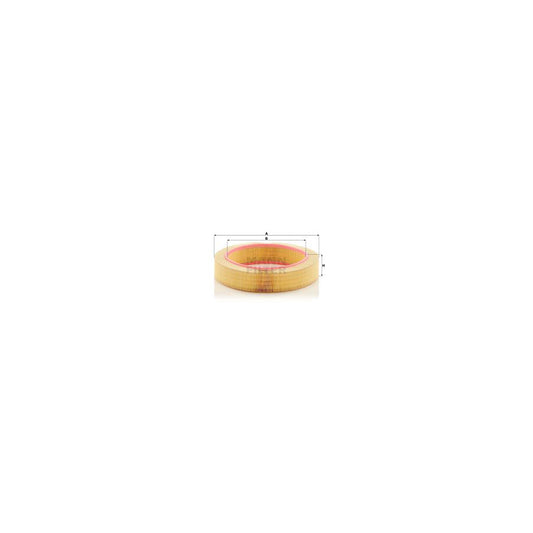 MANN-FILTER C 40 174 Air Filter Filter Insert