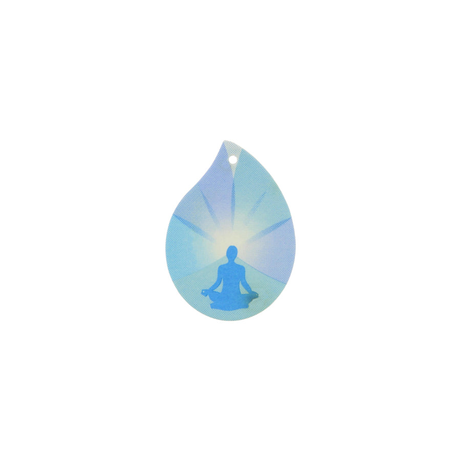 AIR SPA Cedar, Eucalyptus, Pine, Zen 190453 Car air freshener Blister Pack