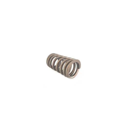 Genuine BMW E81 E90 F01 F30 11347523971 Valve Spring (Inc. 130i, 335i, 535ix & 740i)