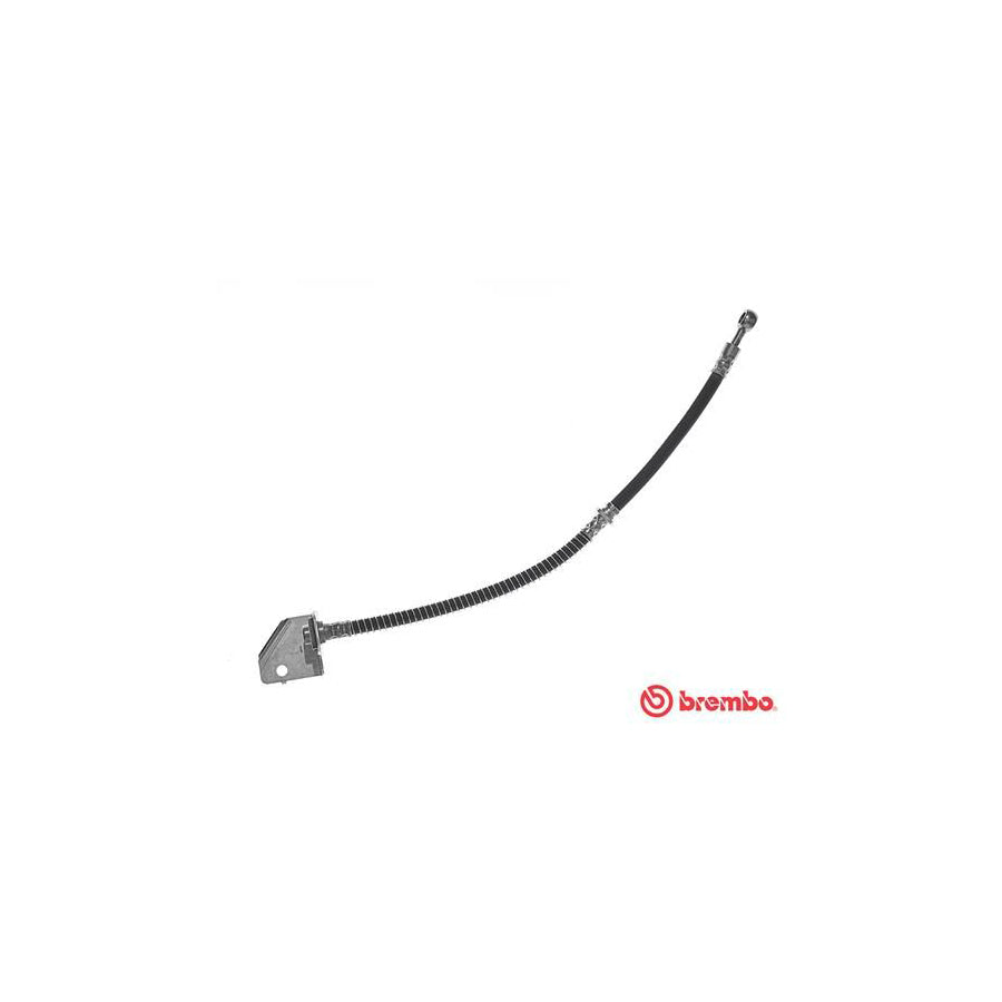 BREMBO T 24 122 Brake Hose 440Mm M10X1 