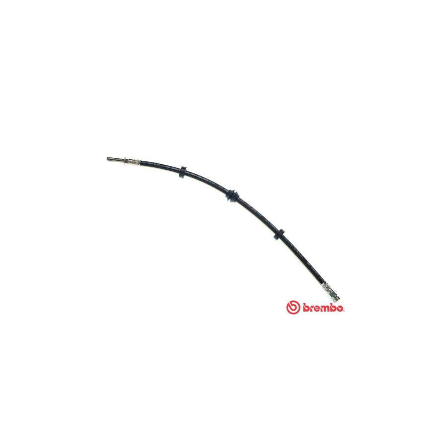 BREMBO T 85 031 Brake Hose 505Mm F10X1 