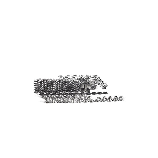 Integrated Engineering Supertech Audi 2.7T B5 C5 Valve Spring & Titanium Retainer Set (A6, Allroad, S4)