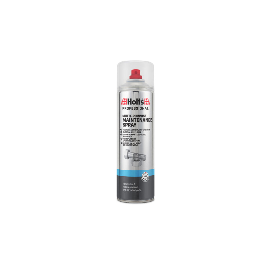 Holts 500ml Graphite Maintenance Spray
