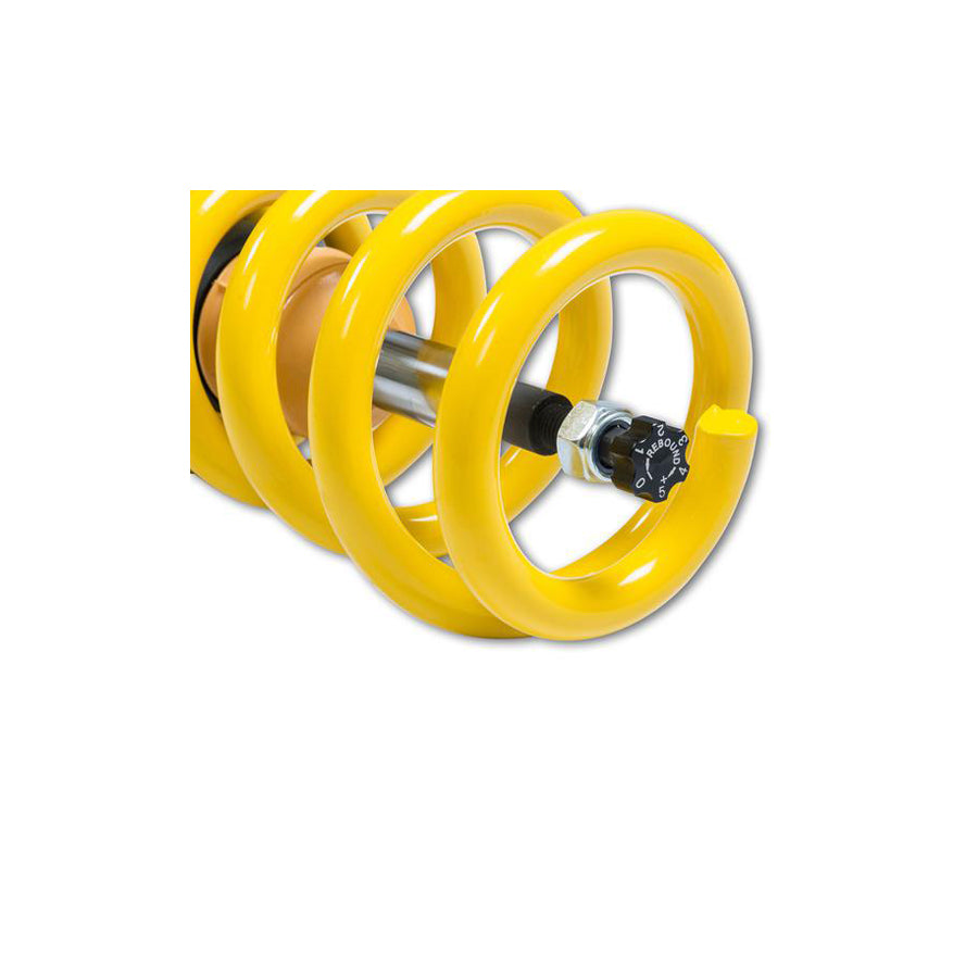 ST Suspensions 18210024 Audi D2 A8 COILOVER KIT XA 5