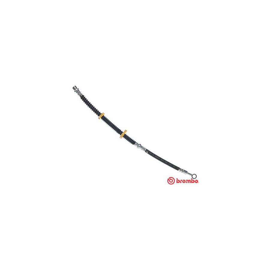 BREMBO T 44 031 Brake Hose 420Mm F10X1 