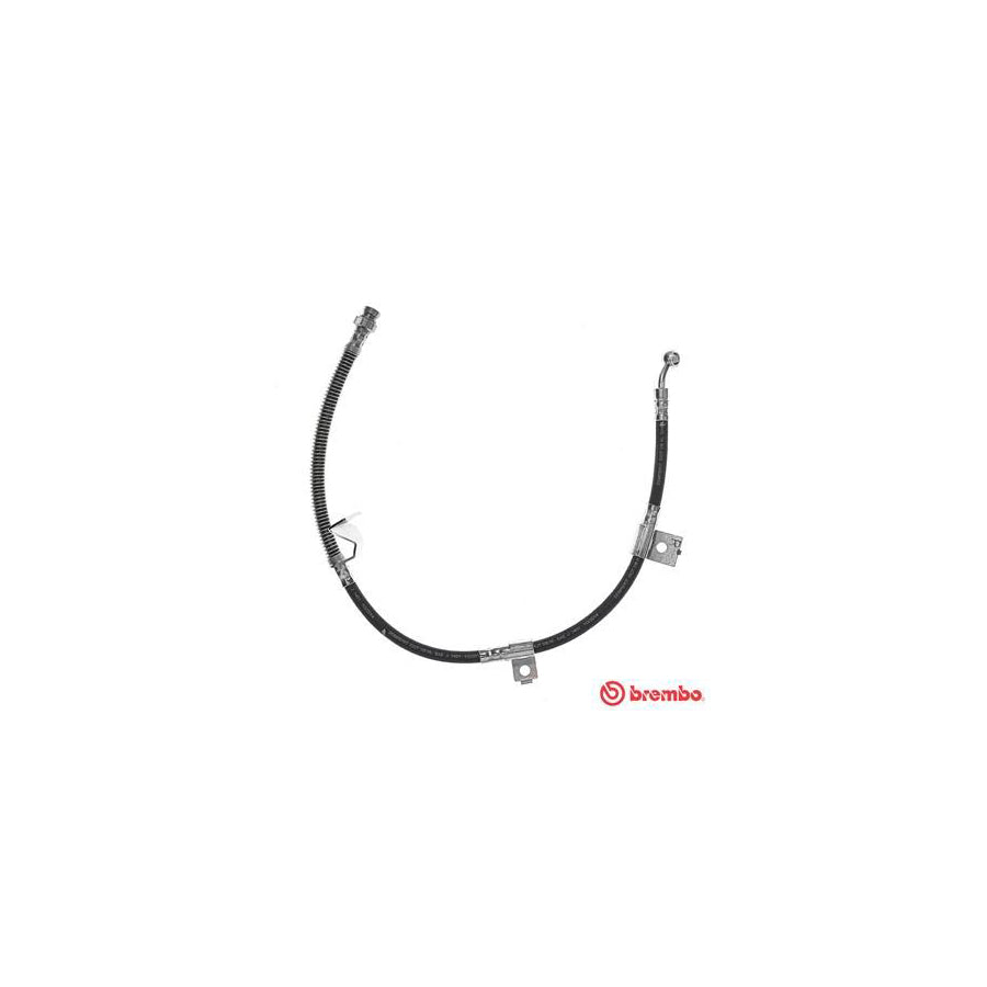 BREMBO T 30 080 Brake Hose 715Mm F10X1 25