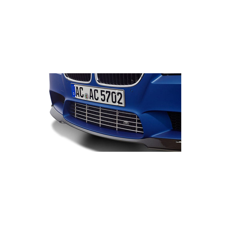 AC Schnitzer BMW F10 M5 Chrome Front Grille