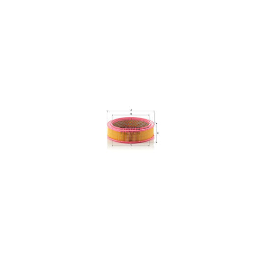 MANN-FILTER C 2443/1 Air Filter Filter Insert
