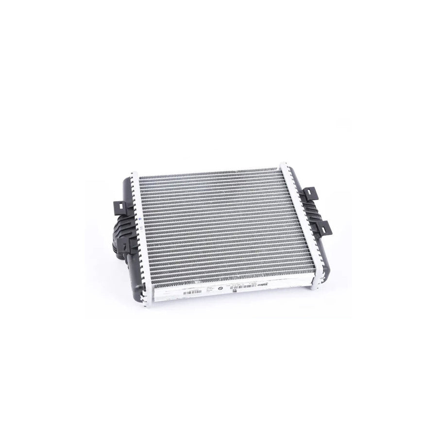 Genuine BMW 17118625447 F20 F30 F32 F87 Remote Radiator (Inc. M140i, M240i, 340i & M2)