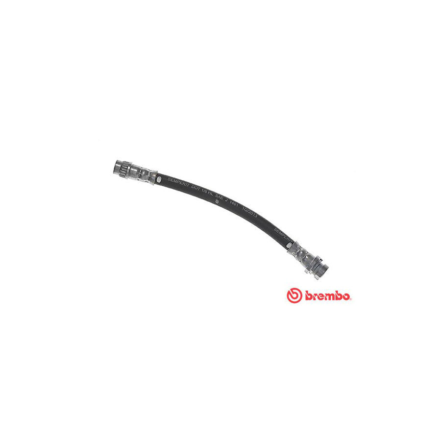 BREMBO T 68 048 Brake Hose 210Mm F10X1 