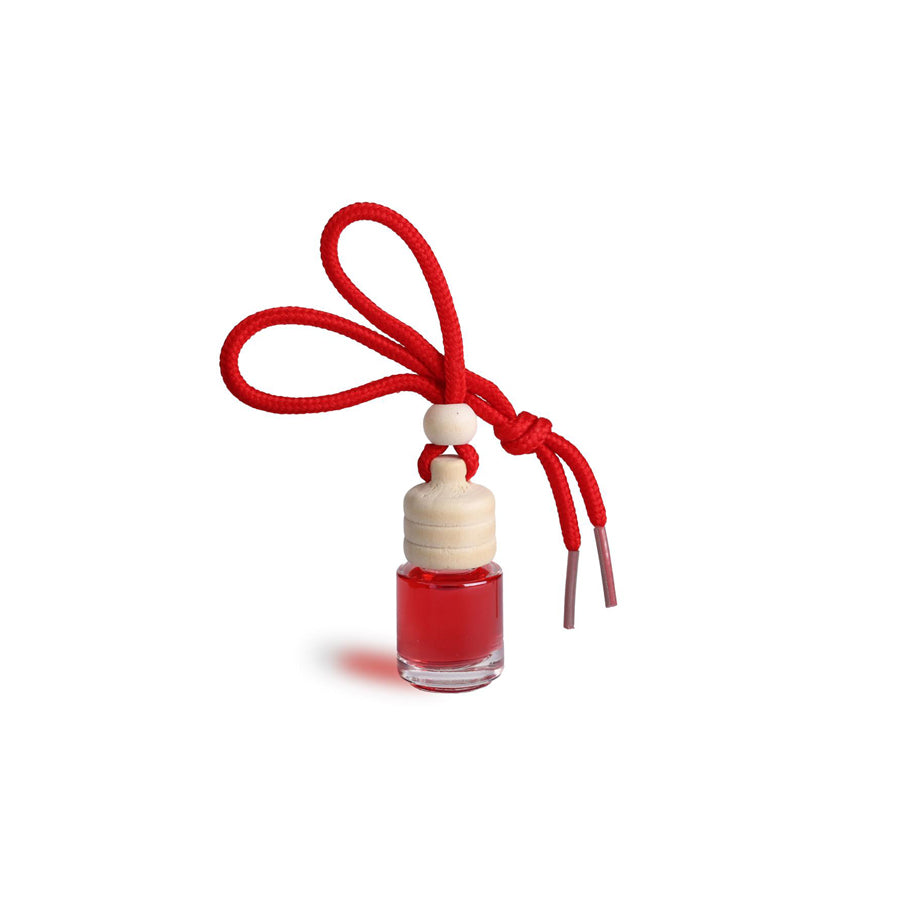 RIDEX 3443A0036 Car air freshener aerosol, Contents: 4ml