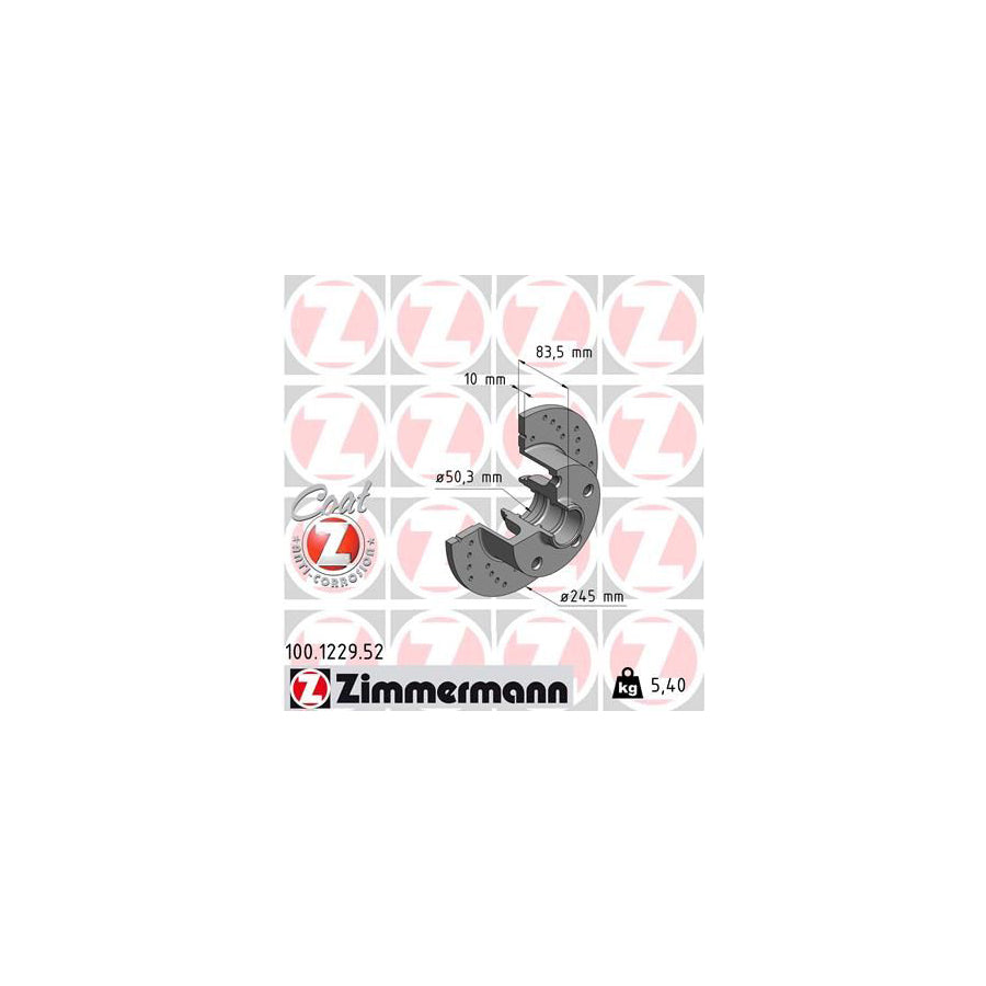 ZIMmERMANN SPORT COAT Z 100 1229 52 Brake Disc for AUDI A4 Perforated Solid Coated