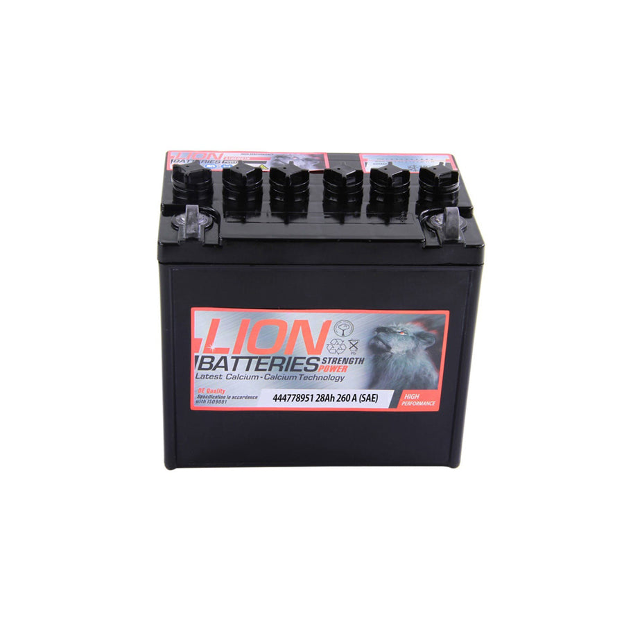 Lion 895 leisure / garden Machinery battery