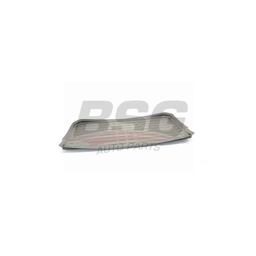 BSG BSG 70-935-014 Car boot tray for CITROEN C3 III (SX)