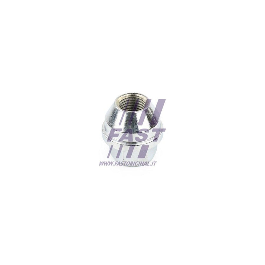 FAST FT21524 Wheel Nut